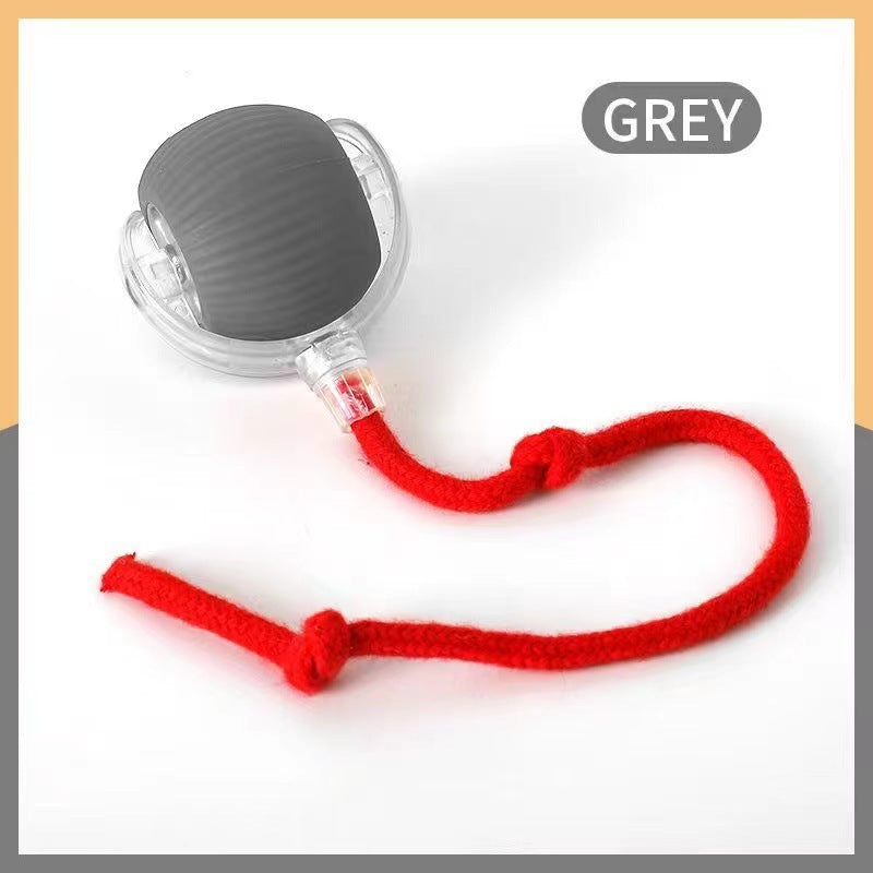 Spin & Chase Teaser Ball — Interactive Toy for Cats & Dogs
