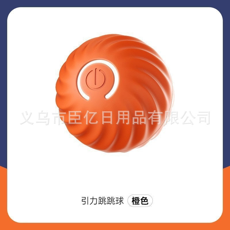 Spin & Chase Teaser Ball — Interactive Toy for Cats & Dogs