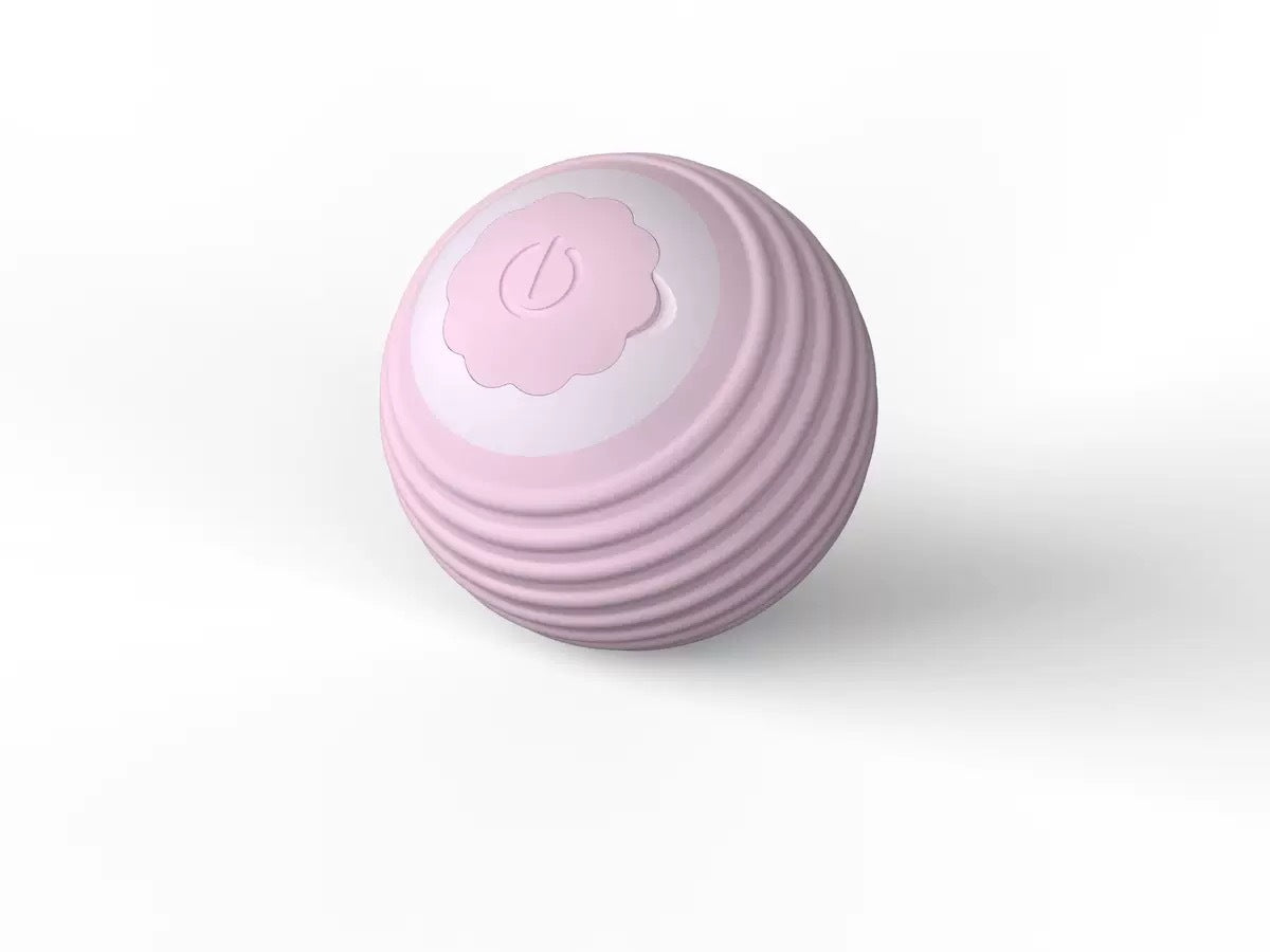 Spin & Chase Teaser Ball — Interactive Toy for Cats & Dogs