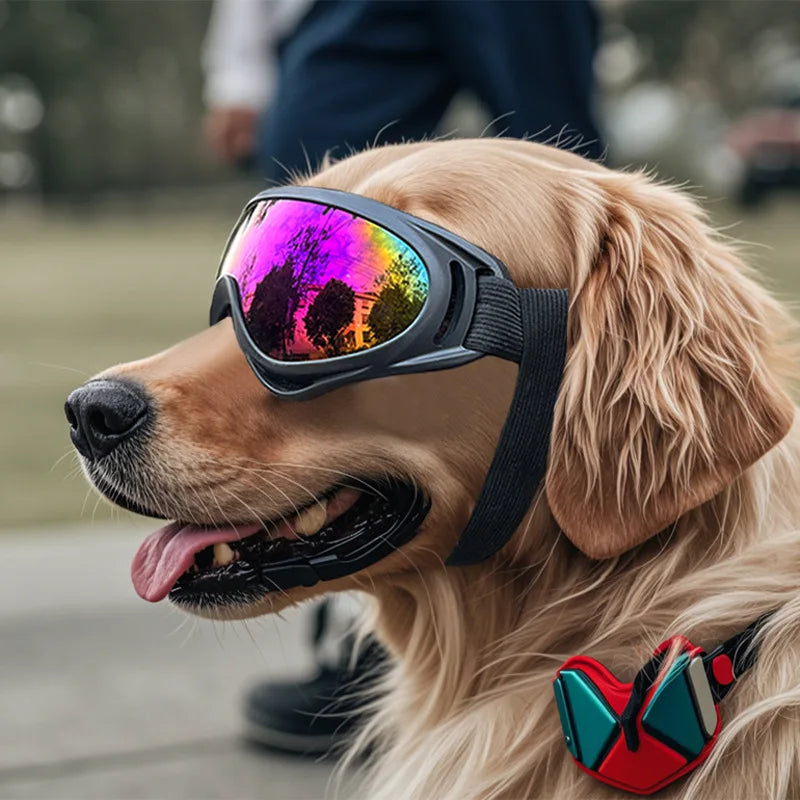 UV-Protective Dog Goggles — Stylish Sun Shades for Pups