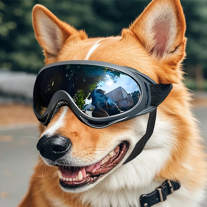 UV-Protective Dog Goggles — Stylish Sun Shades for Pups
